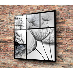 Černo-bílý skleněný obraz Insigne Harmo, 30 x 30 cm