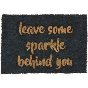Rohožka z přírodního kokosového vlákna Artsy Doormats Leave Some Sparkle, 40 x 60 cm