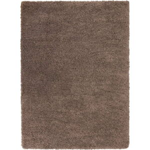 Hnědý koberec Flair Rugs Sparks, 80 x 150 cm