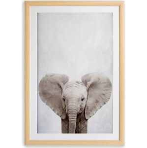 Nástěnný obraz v rámu Surdic Elephant, 30 x 40 cm