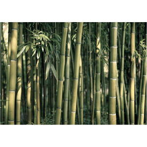 Velkoformátová tapeta Artgeist Bamboo Exotic, 200 x 140 cm